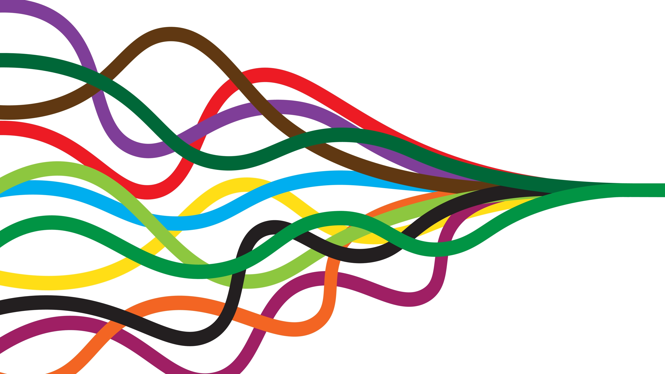 A series of colorful, wavy lines intertwine and converge towards the right side of the image, illustrating a flow or merging effect on a white background.