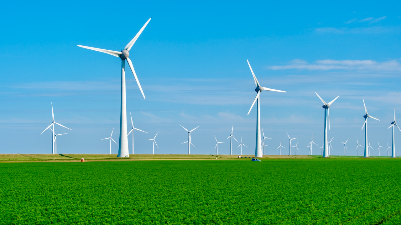 A large wind farm with multiple white wind turbines stands on a green field under a clear blue sky, generating renewable energy.