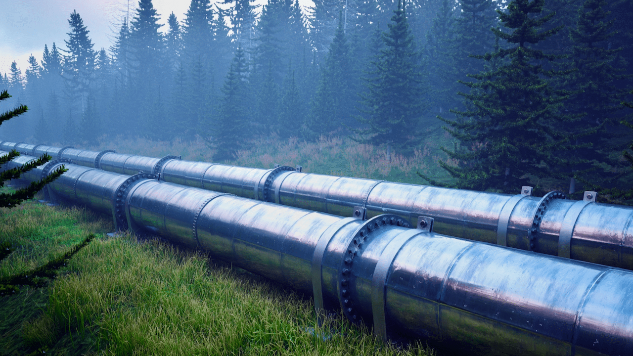 A large metal pipeline runs through a grassy area surrounded by dense evergreen trees, with a misty forest background.